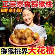 �������J�������r���]������10���b������ˮ���G���殐���ش��