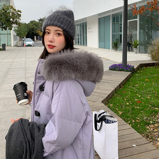 С�����L����q��Ů2025���������Ӻ��^ϥ��ë�I��ů�������e����