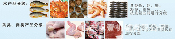 O1CN01b7od7N1ZsY0JuJ46G_!!3545203250-0-cib.jpg?__r__=1667804549301