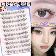 С����ٽ�ë�ϊy���m��Ȼ���N����ٽ�ë�@�۷Ŵ��p���������z