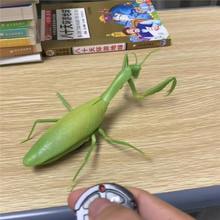 �b��������늄ӷ��������ӵ���냺ͯ���M�≺�����C�������