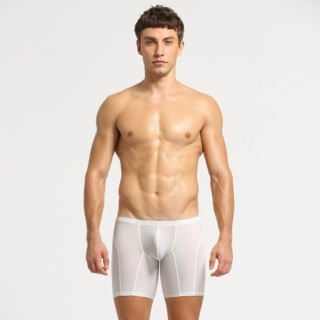 SEOBEAN希宾Underwear尼龙 素色 U凸轻薄 低腰男士平角内裤