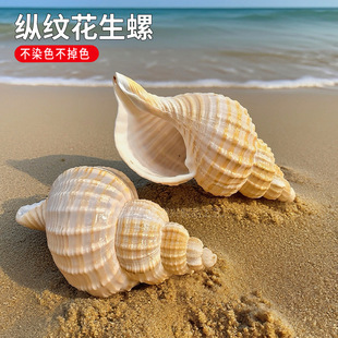 ��Ȼ����ؐ���v�y�������~��ˮ��ľ�з��Q���Ӽ��b̌W����