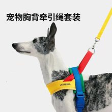 宠物胸背带牵引绳套装遛狗狗绳子大中小型犬宠物牵引绳