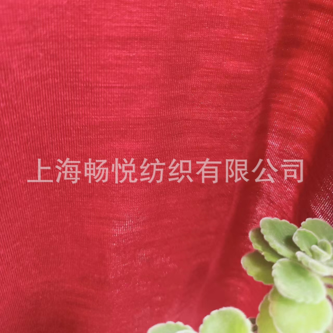 氨纶羊毛布弹力针织美丽诺汗布羊毛针织布澳毛弹力针织汗布单面布