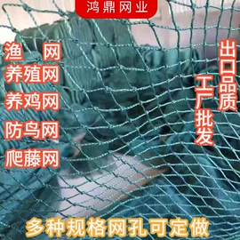 其他塑料网;其他垂钓用品;安全绳