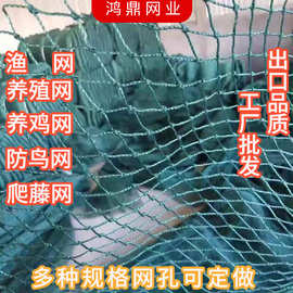 养鸡网防护网养殖网箱 各种聚乙烯 渔网 网箱 拖网网片