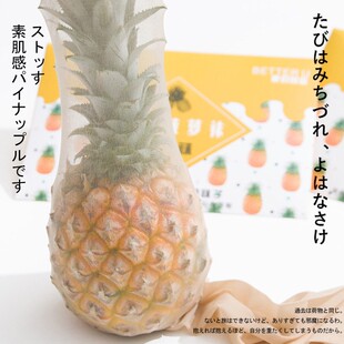 Pineapple stockings anti-wolf socks light leg artifact skin summer sexy women's arbitrary cut anti-hook stockings pantyhose