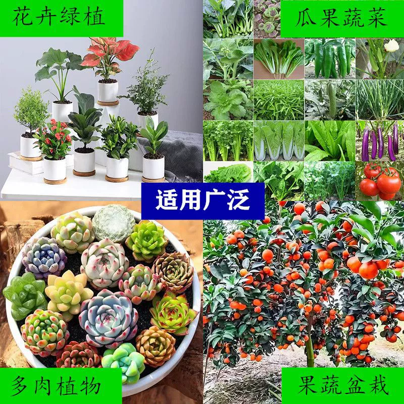 Питательная почва для выращивания цветов