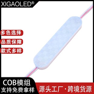 Source manufacturers COB module LED Billboard light box advertising luminous characters 12v 24v low pressure injection module