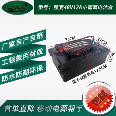 Electric Vehicle Battery Box Other Electric Vehicle Accessories - complete-set-of-black-48v12a-battery-box