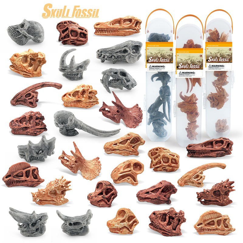 Simulación transfronteriza mini cráneo de dinosaurio modelo de cráneo animal prehistórico esqueleto traje fósil adornos estáticos enlatados