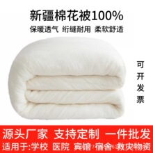 新疆棉花被100%纯棉全棉被子被芯棉胎四季被保暖冬被
