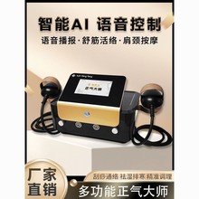 电动刮痧仪排酸仪经络疏通多功能按摩神器肩颈理疗养生美容院专用