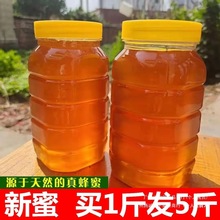 土蜂蜜正品天然正宗蜂巢蜜农家自产纯正原味野生百花洋槐枣花结晶