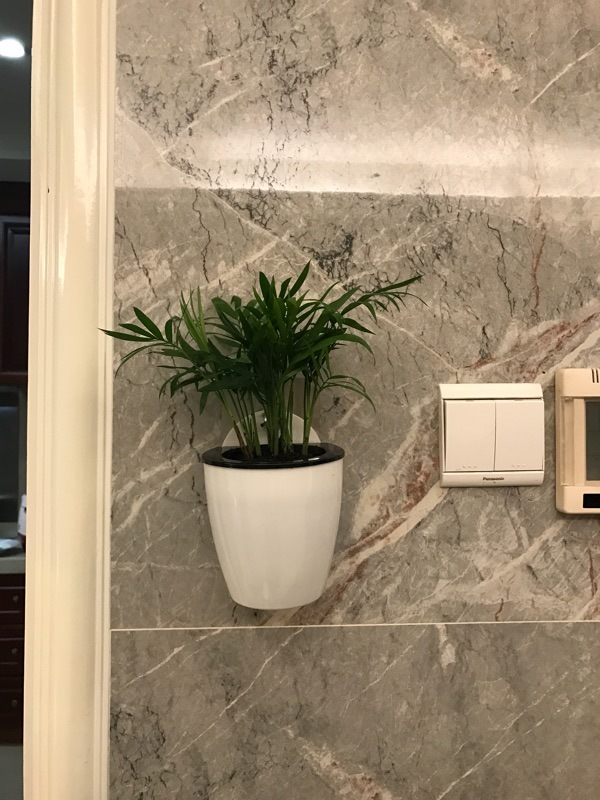 TB28Ar9eNlmpuFjSZPfXXc9iXXa_!!