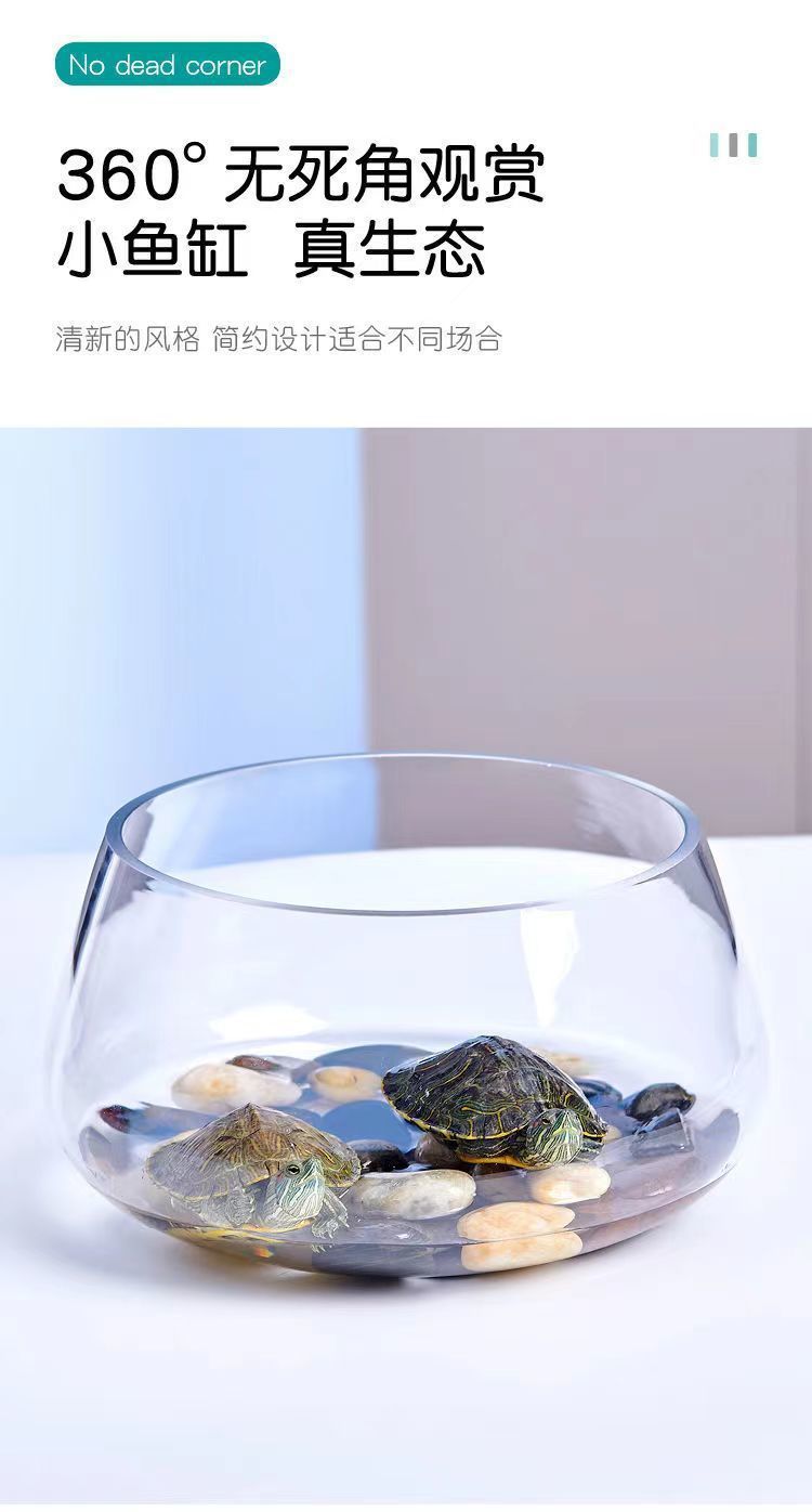 5e32ce29-33da-4e69-82de-9f495f872e50.jpe