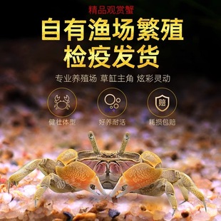 ����з����з���w�����з�^�pз���x���嵭ˮз�~�����еח�����