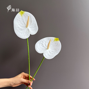 �¿�羳��Ʒ�Ʒ��滨 �t�ƾG�Ʒ����^��ɏ�쾰�����Ĕz�������l