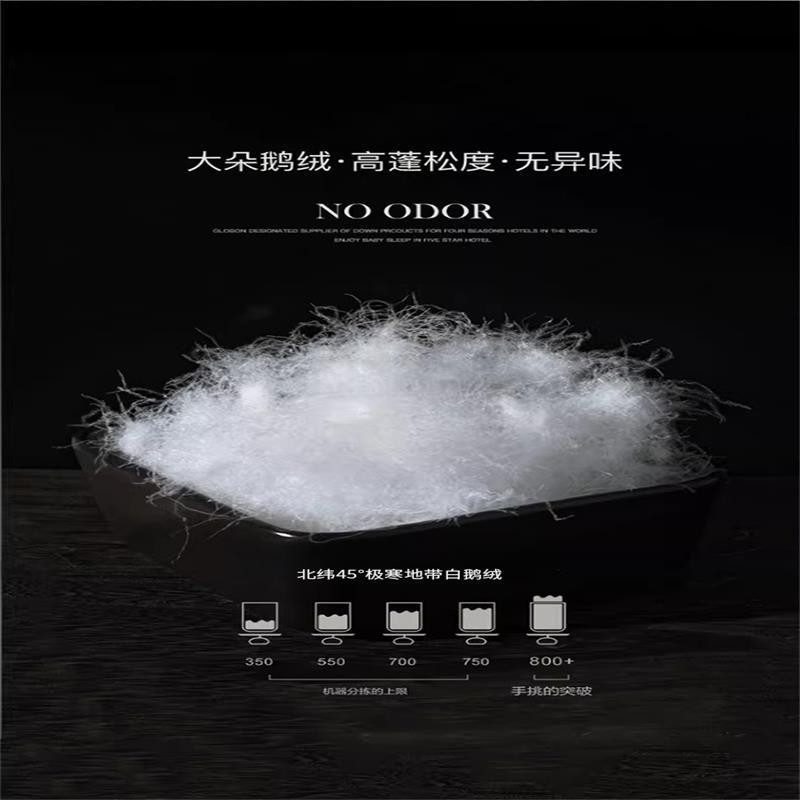 ハンガリーの羽毛布団の正規品a類95白のガチョウの毛は芯の純綿の冬にガチョウの毛に白いガチョウの毛の5a級の100ガチョウの毛で覆われています。