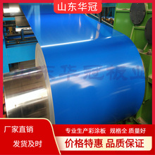 ���N���]  �{ɫ�T���X�� 1.0mm/1.2mm����X��� ��Ĥ  ����r��