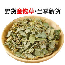 广西大叶金钱草500g包邮新货金钱草新鲜切段干净干货煲汤泡水中