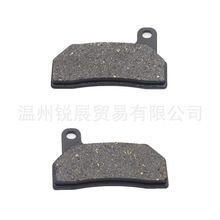 摩托车电动车碟刹片刹车片碟刹皮刹车皮卡丁车ATV沙滩车DSP-157