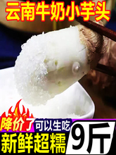云南牛奶小芋头5斤毛芋头新鲜蔬菜小香芋槟榔芋芋艿农家自种红芽