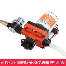 12V/24V直流电动增压游艇高压隔膜泵抽淡水泵F42款11.3升静音房车