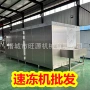 冷冻单体早餐氟利昂速冻柜