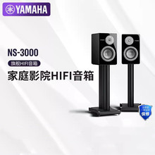 .R.. NS-3000 ߱ͥӰԺŞHIFI