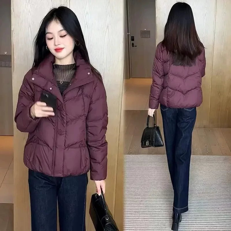 Short fitted fashionable down jacket, increased thickness