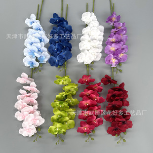 ���滨9�^�����m��c�Y��·�����Ų廨�bٻ��羳�ָк����m