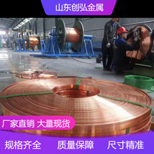 T2紫铜排紫铜扁条接地汇流铜排定制打孔折弯铜母线定制加工