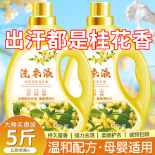 桂花香氛洗衣液家用正品官方持久留香酵素除菌去污渍实惠装整箱批
