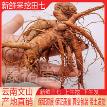 ���r���� �F�������ɽ���r�����^�����������^���ݾ��Ҝ�37���]