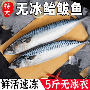 �T�E�~��ռ�~���~���r����E�~�໨�~�R�o�~���~С�E�~�����~�T�~