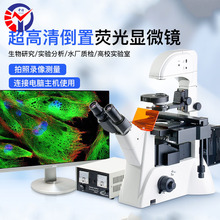 ������Ŀ���ßɹ��@΢�RZT-02D �o���h��Wϵ�y �������B���^��