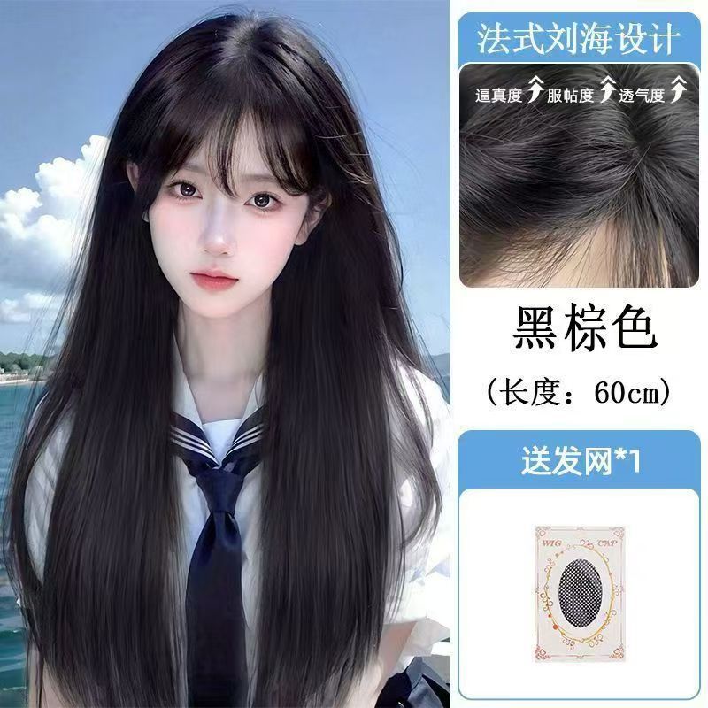 [machine-made style] straight hair with bangs, brown and black + hair net