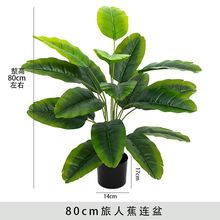 ���W����Gֲ���˽����Ԕ[���͏d�bپGֲ�҃���ؼ٘�[�O