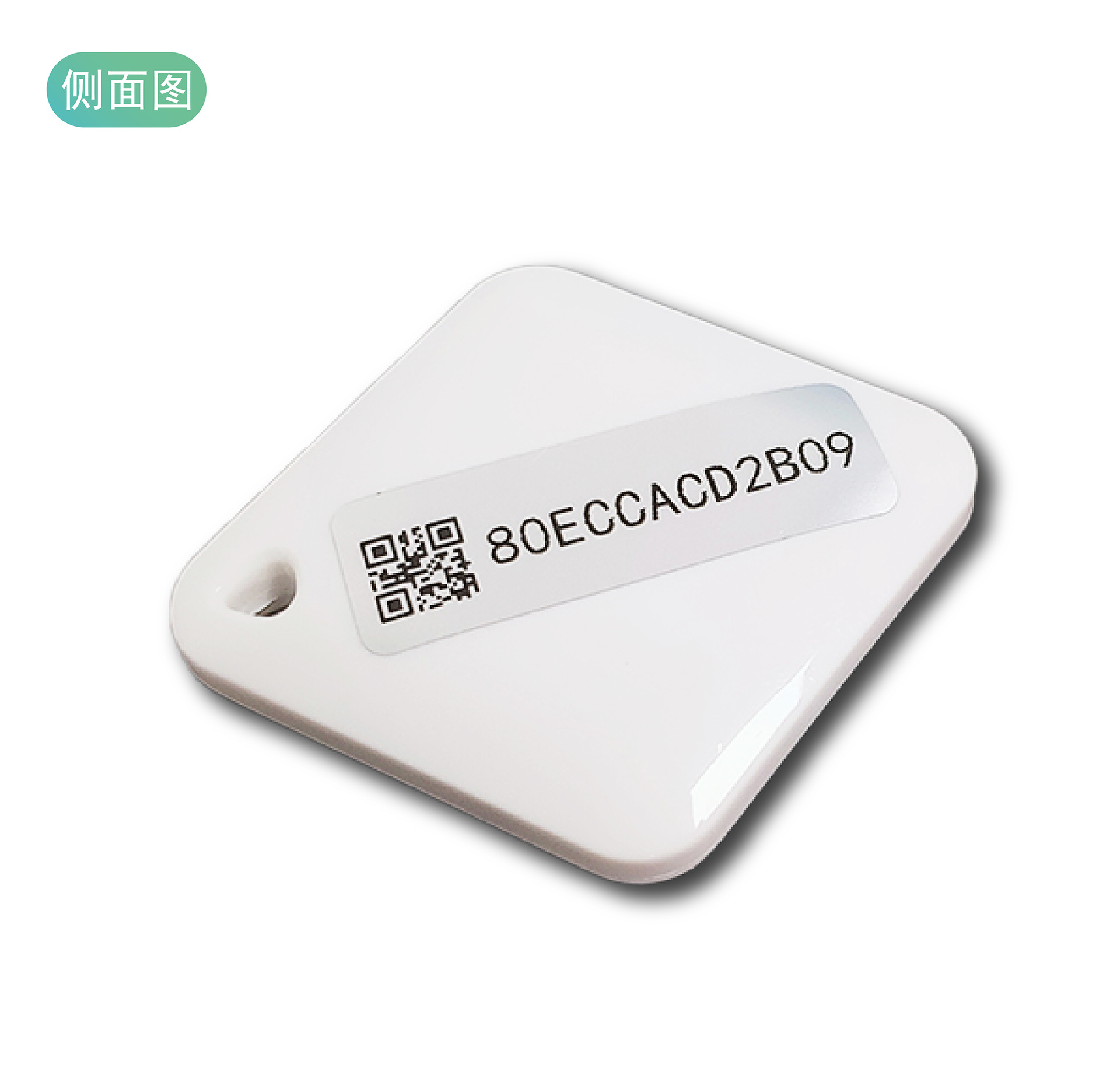 画板 1 副本 96@600x-100.png