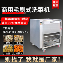厂家高效连续式果蔬脱皮机土豆红薯山药粗加工设备毛刷去皮清洗机