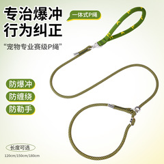 p链p绳狗狗牵引绳遛狗链子小中大型犬训犬防爆冲打结金毛宠物用品