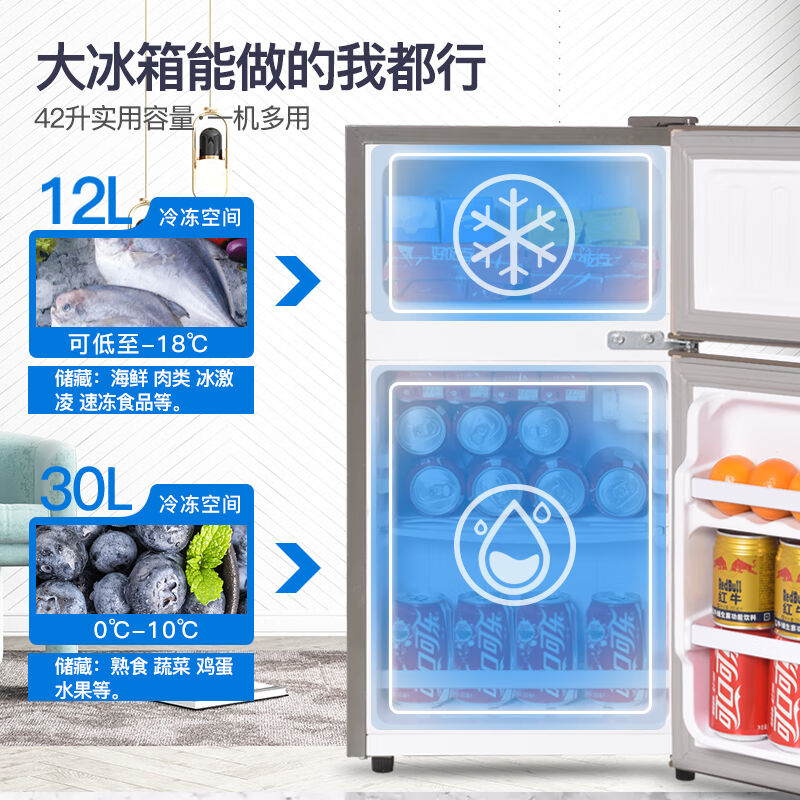 XIANGXUEHAI 미니 냉장고 가정용 미니 냉장고 냉장 저장 신선한 미니 냉장고 기숙사 임대 냉장고 42S1