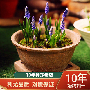 5�w�����L���ӷN�� ��ˮ�����Ի��ܷN��ֲ���ļ��M���L������ٺ�