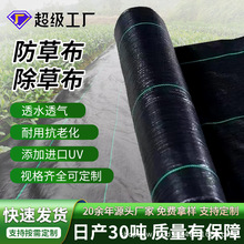 防草布除草布跨境亚马逊pp抗老化UV园艺切片透水透气抑草叠片地布