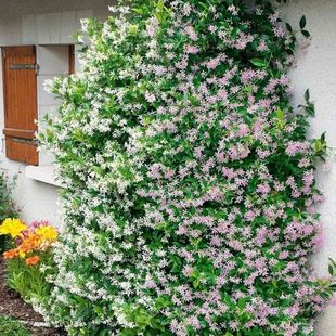 �y�z���B�L܇����ֲ�����Խjʯ���ļ��_���ͺ��̨ͥԺ��������