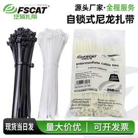 泛硕耐寒尼龙扎带V-2自锁式-25℃耐磨束线带黑色多规格zip tie