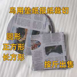 鸟用垫纸鹦鹉小鸟虎皮靛颏黄鸟玄凤旧报纸垫纸一次性接粪纸清洁