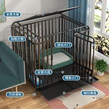 ��ë���\�Ӵ���Ȯ����Ȯ���������x�����҃�������������һ�����l